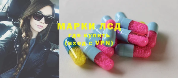 крисы Баксан