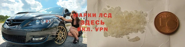 spice Аркадак