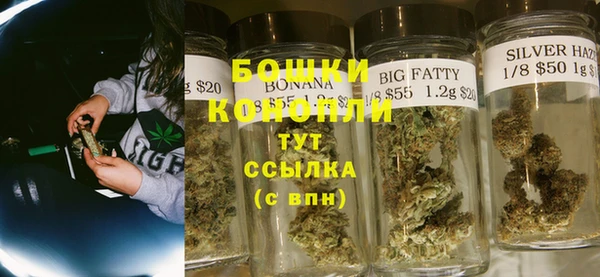 крисы Баксан