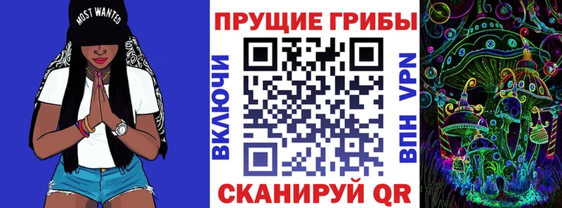 Купить закладки  Старица  Галлюциногенные грибы мицелий 